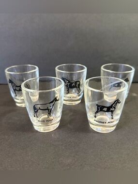 Hazel Atlas Shot Glasses MCM Pony Horse Breed Stallion Jigger Equestrian Set 5x